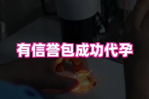 合肥助孕网站 4